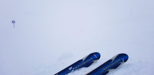 Photo taken on a ski track. The ground appears almost uniformly white.